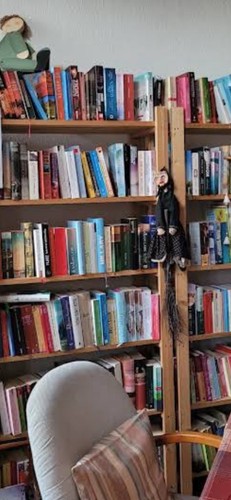 Bücher mix krimi thriller - 40,